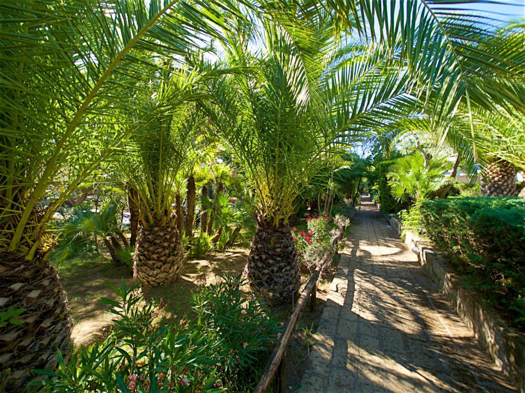 Holiday Home Twoo-Room Comfort By Interhome Castiglione della Pescaia Zewnętrze zdjęcie